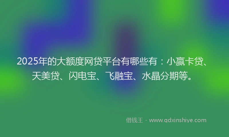 2025年的大额度网贷平台有哪些有：小赢卡贷、天美贷、闪电宝、飞融宝、水晶分期等。