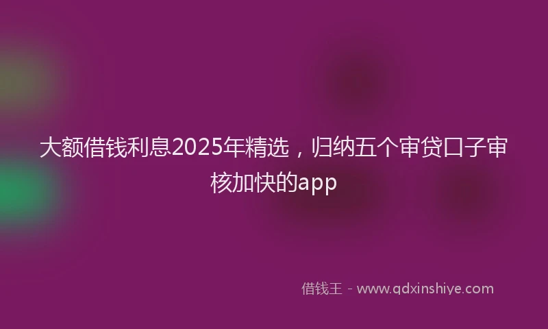 大额借钱利息2025年精选，归纳五个审贷口子审核加快的app