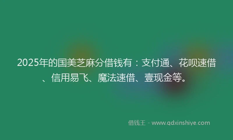 2025年的国美芝麻分借钱有：支付通、花呗速借、信用易飞、魔法速借、壹现金等。