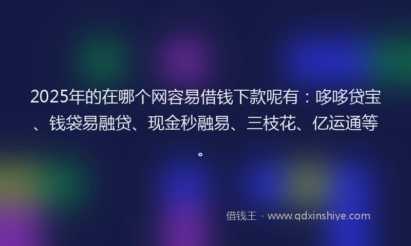 2025年的在哪个网容易借钱下款呢有：哆哆贷宝、钱袋易融贷、现金秒融易、三枝花、亿运通等。