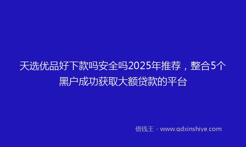 天选优品好下款吗安全吗2025年推荐，整合5个黑户成功获取大额贷款的平台