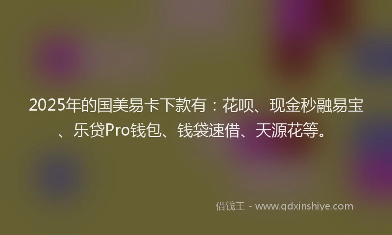 2025年的国美易卡下款有：花呗、现金秒融易宝、乐贷Pro钱包、钱袋速借、天源花等。