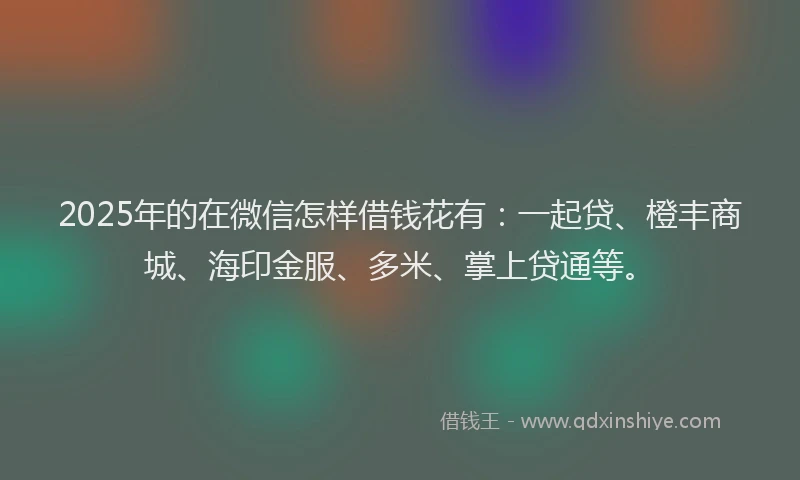 2025年的在微信怎样借钱花有：一起贷、橙丰商城、海印金服、多米、掌上贷通等。