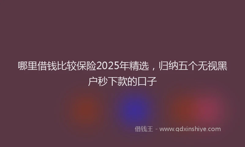 哪里借钱比较保险2025年精选，归纳五个无视黑户秒下款的口子