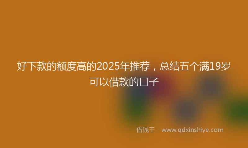 好下款的额度高的2025年推荐，总结五个满19岁可以借款的口子