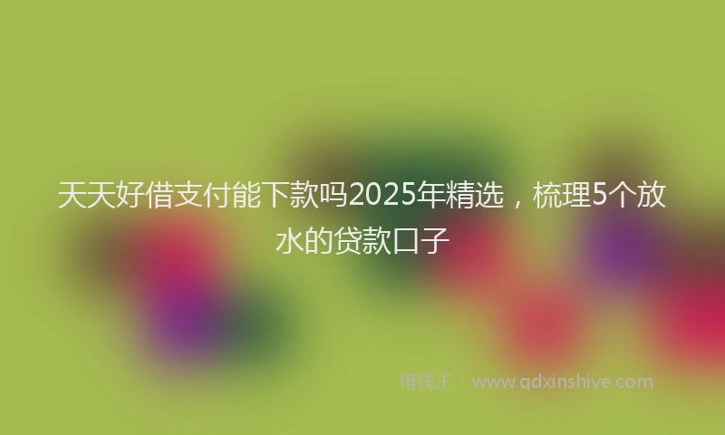 天天好借支付能下款吗2025年精选，梳理5个放水的贷款口子