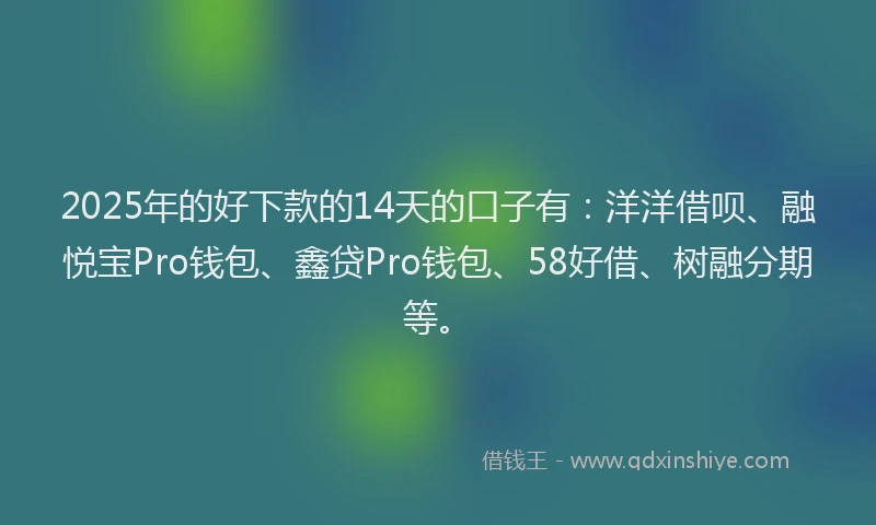 2025年的好下款的14天的口子有：洋洋借呗、融悦宝Pro钱包、鑫贷Pro钱包、58好借、树融分期等。