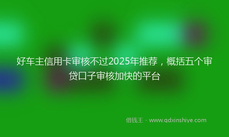 好车主信用卡审核不过2025年推荐，概括五个审贷口子审核加快的平台