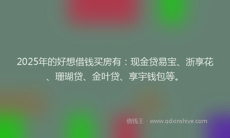 2025年的好想借钱买房有：现金贷易宝、浙享花、珊瑚贷、金叶贷、享宇钱包等。