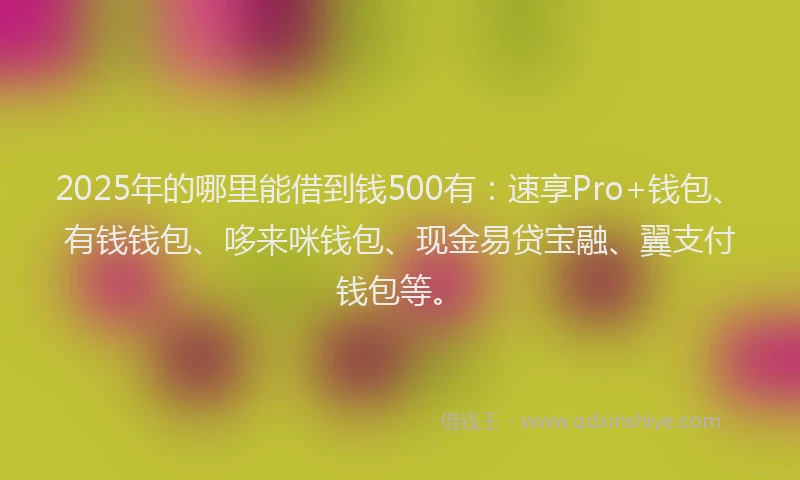 2025年的哪里能借到钱500有：速享Pro+钱包、有钱钱包、哆来咪钱包、现金易贷宝融、翼支付钱包等。
