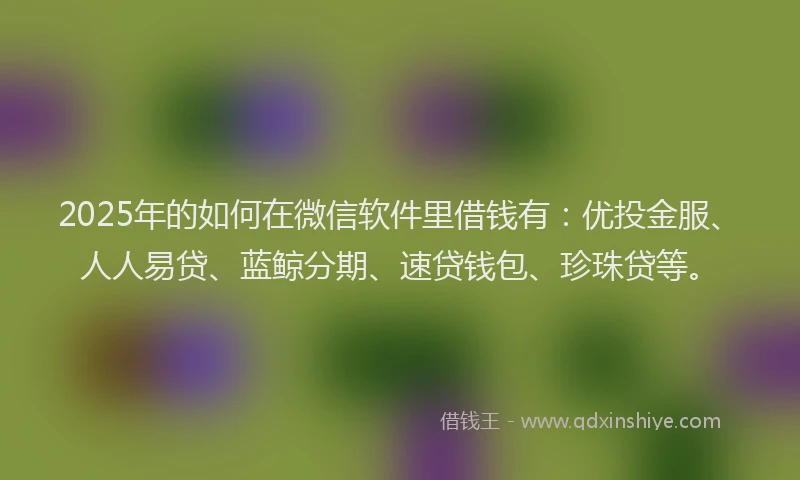 2025年的如何在微信软件里借钱有：优投金服、人人易贷、蓝鲸分期、速贷钱包、珍珠贷等。