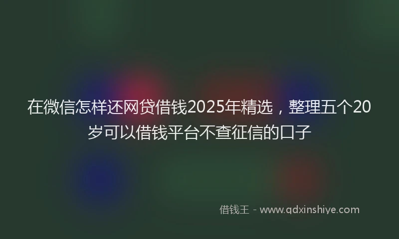 在微信怎样还网贷借钱2025年精选，整理五个20岁可以借钱平台不查征信的口子