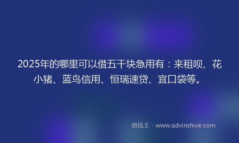 2025年的哪里可以借五干块急用有：来租呗、花小猪、蓝鸟信用、恒瑞速贷、宜口袋等。