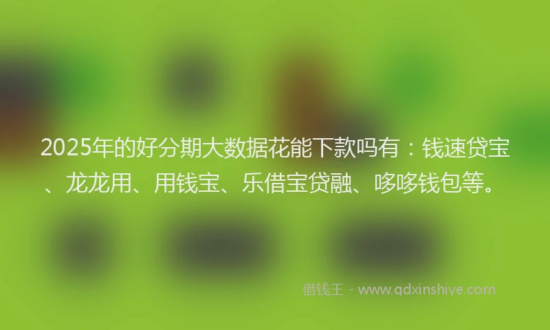 2025年的好分期大数据花能下款吗有：钱速贷宝、龙龙用、用钱宝、乐借宝贷融、哆哆钱包等。