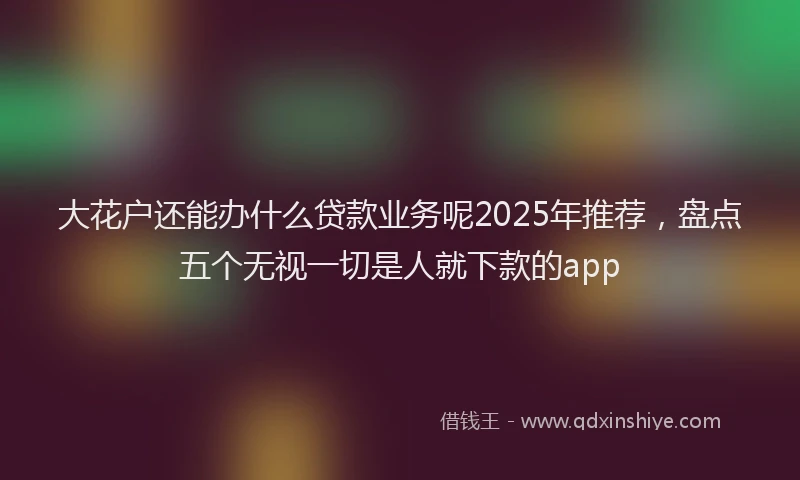 大花户还能办什么贷款业务呢2025年推荐，盘点五个无视一切是人就下款的app