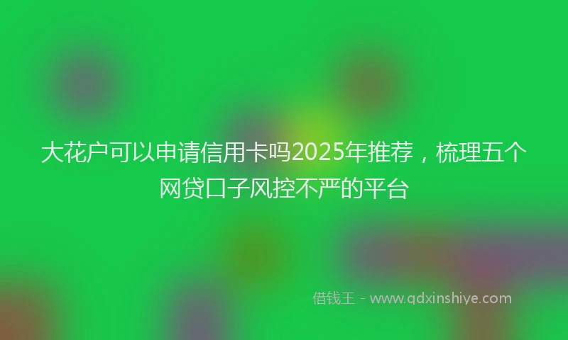 大花户可以申请信用卡吗2025年推荐，梳理五个网贷口子风控不严的平台