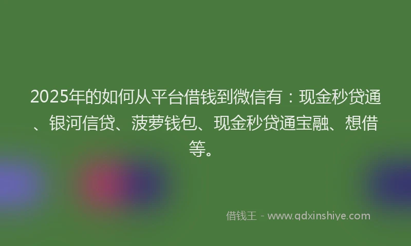 2025年的如何从平台借钱到微信有：现金秒贷通、银河信贷、菠萝钱包、现金秒贷通宝融、想借等。