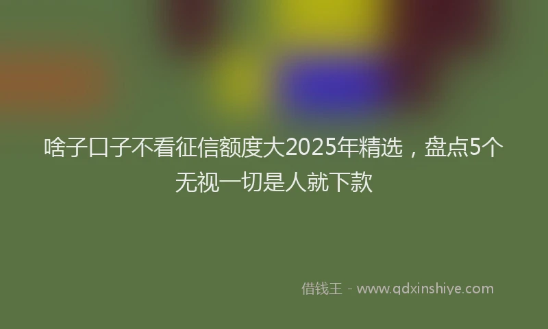 啥子口子不看征信额度大2025年精选，盘点5个无视一切是人就下款