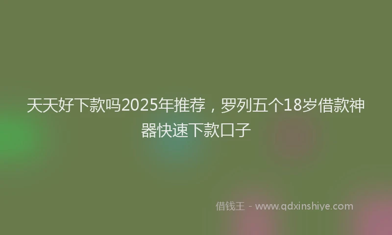 天天好下款吗2025年推荐，罗列五个18岁借款神器快速下款口子