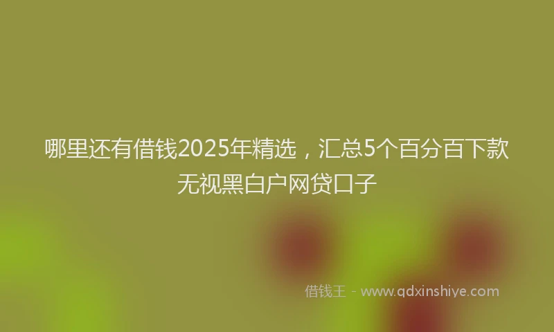 哪里还有借钱2025年精选，汇总5个百分百下款无视黑白户网贷口子