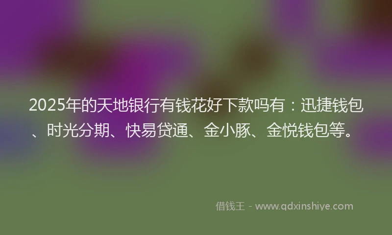 2025年的天地银行有钱花好下款吗有：迅捷钱包、时光分期、快易贷通、金小豚、金悦钱包等。