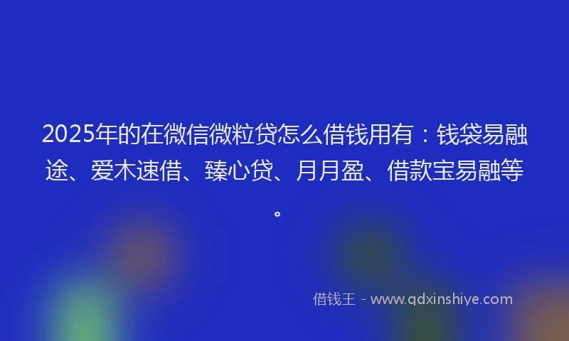 2025年的在微信微粒贷怎么借钱用有：钱袋易融途、爱木速借、臻心贷、月月盈、借款宝易融等。