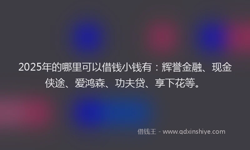 2025年的哪里可以借钱小钱有：辉誉金融、现金侠途、爱鸿森、功夫贷、享下花等。