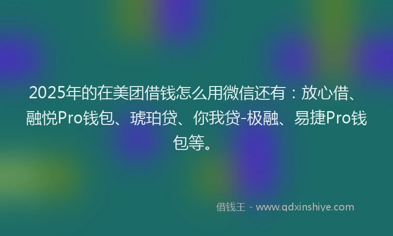 2025年的在美团借钱怎么用微信还有：放心借、融悦Pro钱包、琥珀贷、你我贷-极融、易捷Pro钱包等。