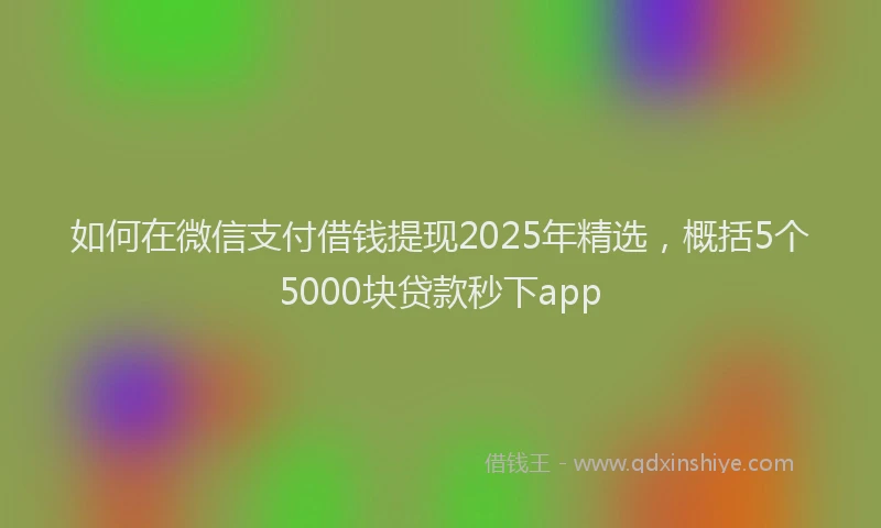 如何在微信支付借钱提现2025年精选，概括5个5000块贷款秒下app