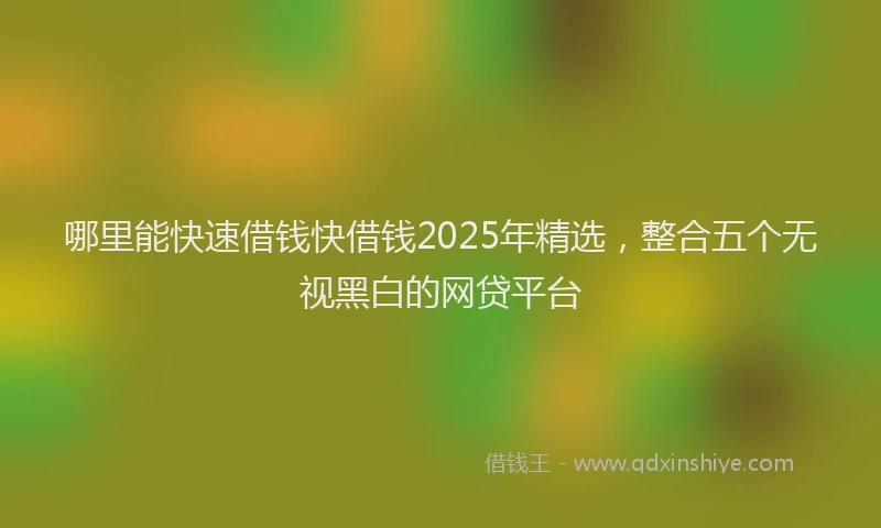 哪里能快速借钱快借钱2025年精选，整合五个无视黑白的网贷平台