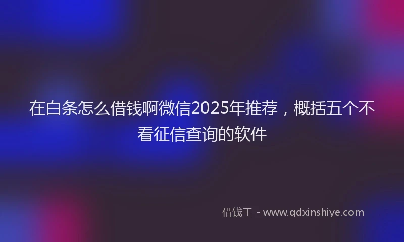 在白条怎么借钱啊微信2025年推荐，概括五个不看征信查询的软件