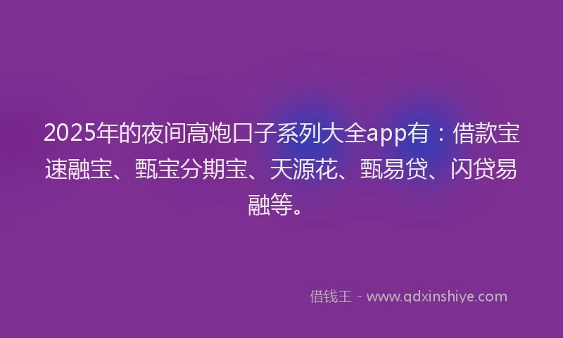 2025年的夜间高炮口子系列大全app有：借款宝速融宝、甄宝分期宝、天源花、甄易贷、闪贷易融等。