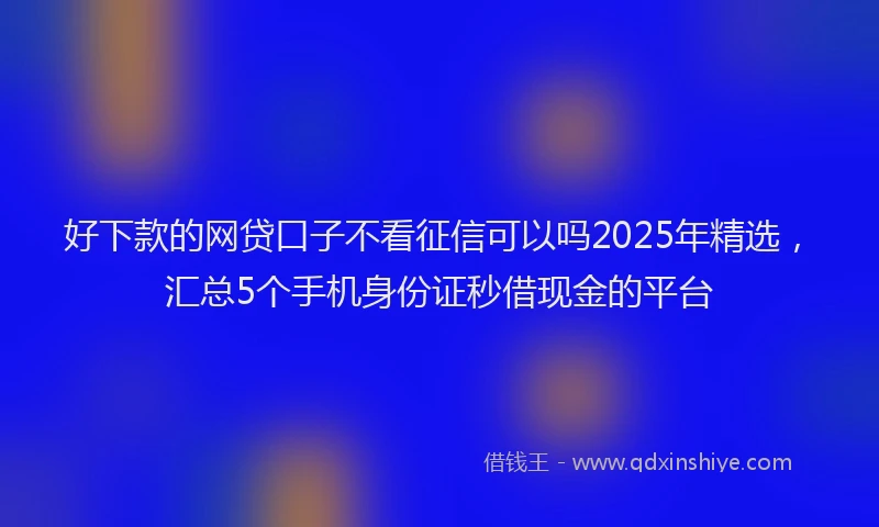 好下款的网贷口子不看征信可以吗2025年精选，汇总5个手机身份证秒借现金的平台