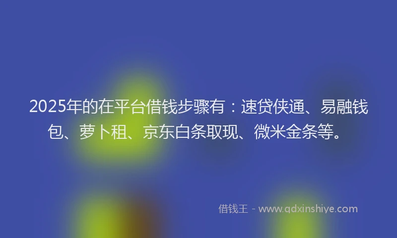 2025年的在平台借钱步骤有：速贷侠通、易融钱包、萝卜租、京东白条取现、微米金条等。