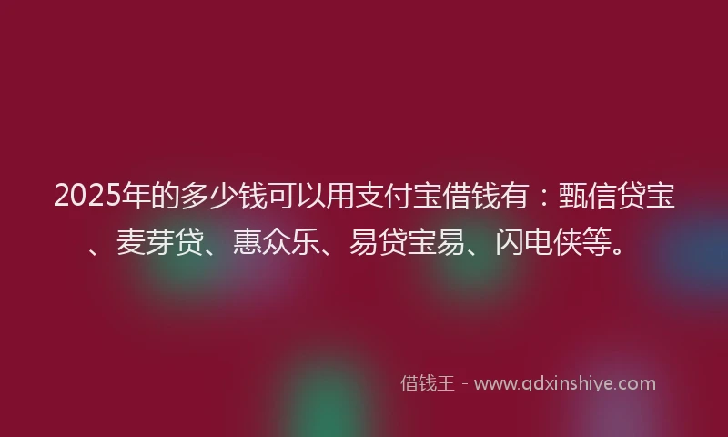 2025年的多少钱可以用支付宝借钱有：甄信贷宝、麦芽贷、惠众乐、易贷宝易、闪电侠等。