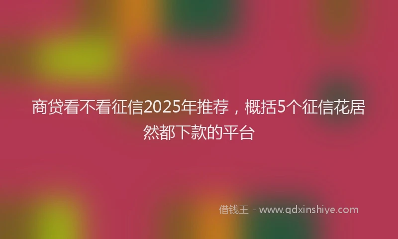 商贷看不看征信2025年推荐，概括5个征信花居然都下款的平台