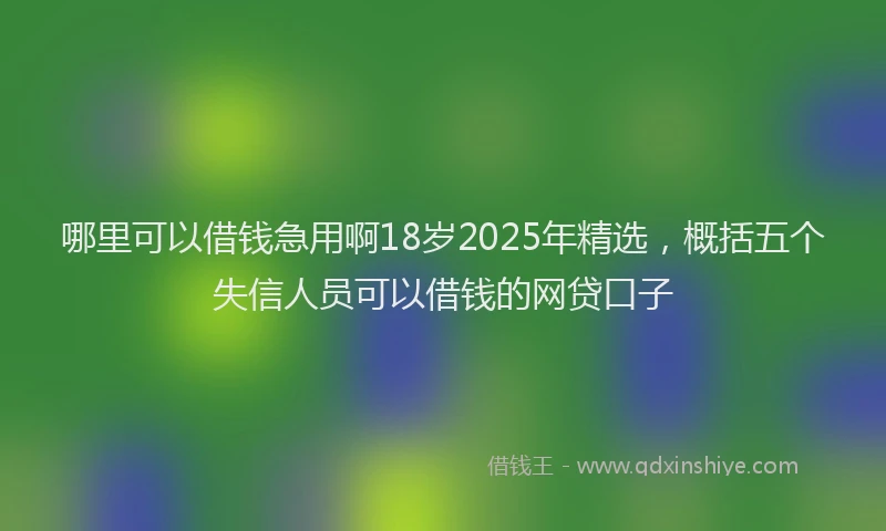 哪里可以借钱急用啊18岁2025年精选，概括五个失信人员可以借钱的网贷口子