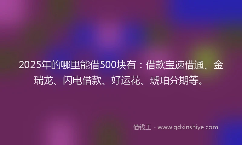 2025年的哪里能借500块有：借款宝速借通、金瑞龙、闪电借款、好运花、琥珀分期等。