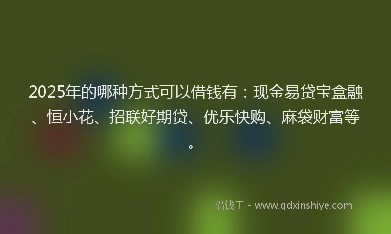 2025年的哪种方式可以借钱有：现金易贷宝盒融、恒小花、招联好期贷、优乐快购、麻袋财富等。