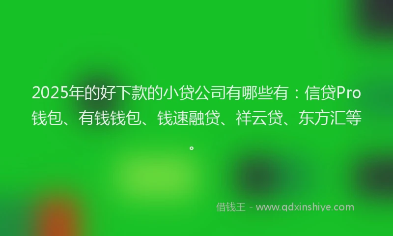 2025年的好下款的小贷公司有哪些有：信贷Pro钱包、有钱钱包、钱速融贷、祥云贷、东方汇等。