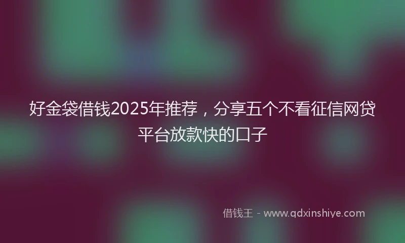 好金袋借钱2025年推荐，分享五个不看征信网贷平台放款快的口子