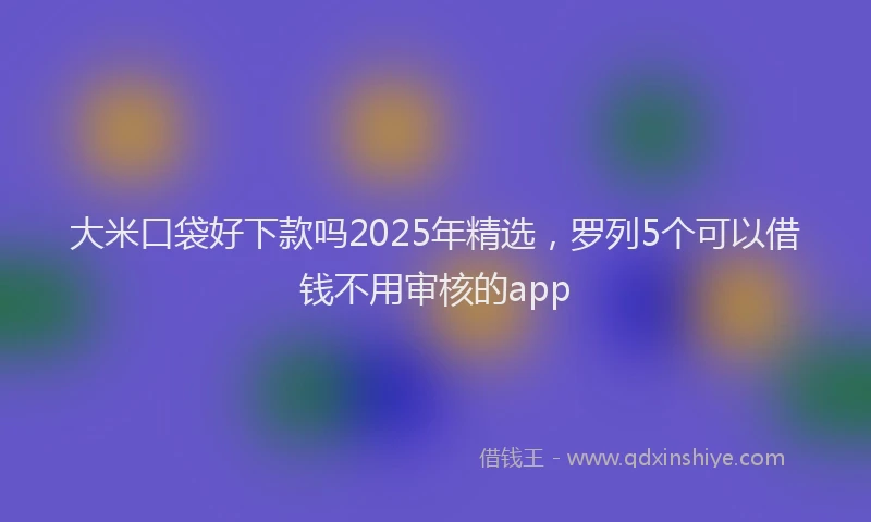 大米口袋好下款吗2025年精选，罗列5个可以借钱不用审核的app