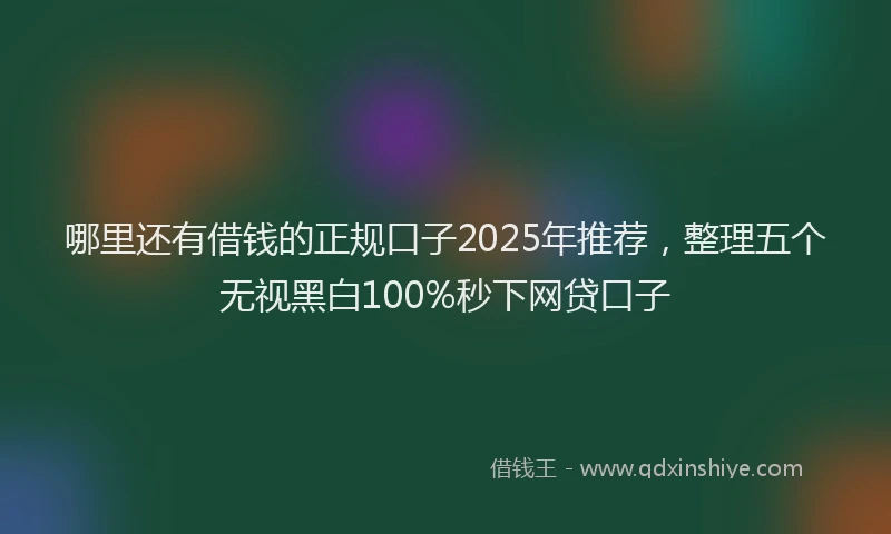 哪里还有借钱的正规口子2025年推荐，整理五个无视黑白100%秒下网贷口子