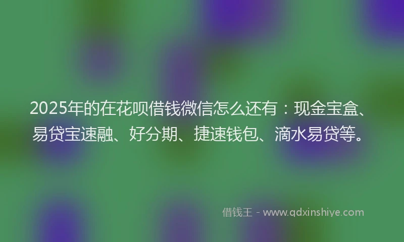 2025年的在花呗借钱微信怎么还有：现金宝盒、易贷宝速融、好分期、捷速钱包、滴水易贷等。