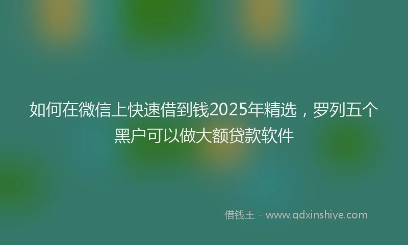 如何在微信上快速借到钱2025年精选，罗列五个黑户可以做大额贷款软件