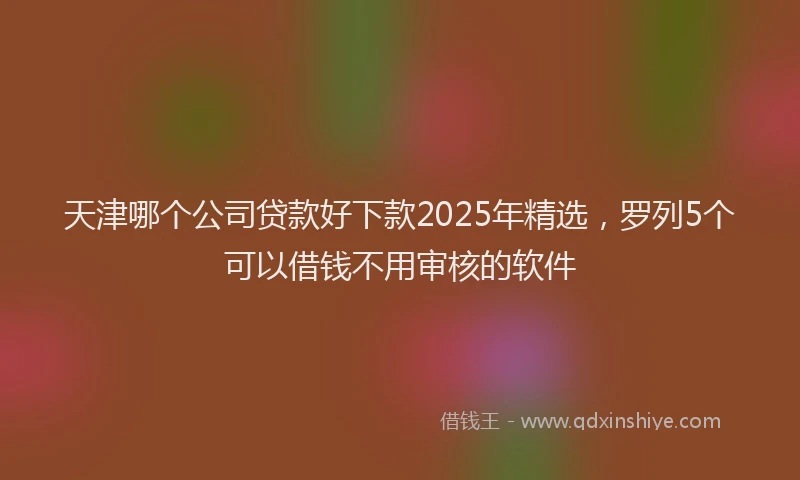 天津哪个公司贷款好下款2025年精选，罗列5个可以借钱不用审核的软件
