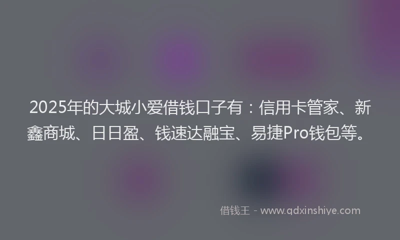 2025年的大城小爱借钱口子有：信用卡管家、新鑫商城、日日盈、钱速达融宝、易捷Pro钱包等。