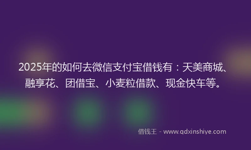 2025年的如何去微信支付宝借钱有：天美商城、融享花、团借宝、小麦粒借款、现金快车等。