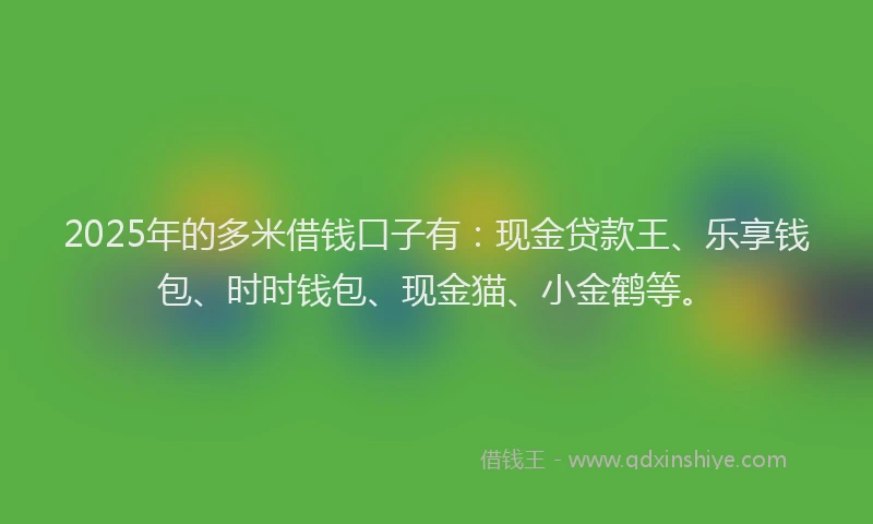 2025年的多米借钱口子有：现金贷款王、乐享钱包、时时钱包、现金猫、小金鹤等。