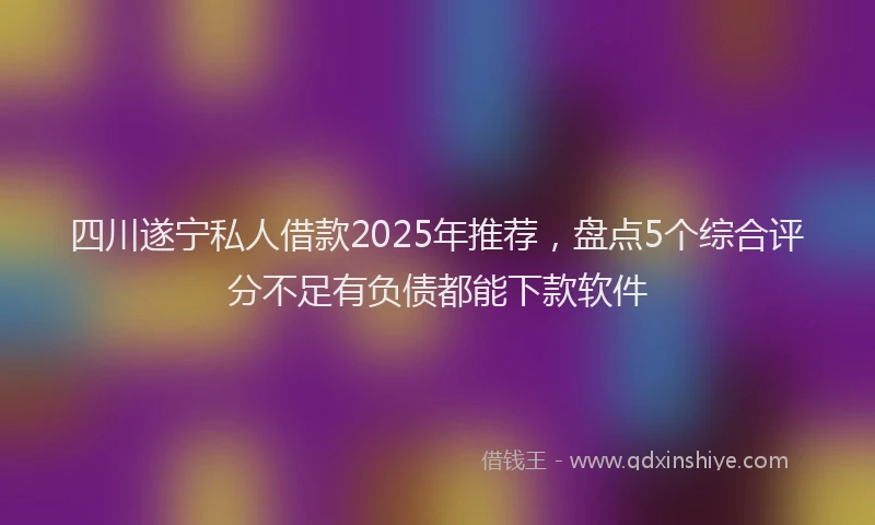 四川遂宁私人借款2025年推荐，盘点5个综合评分不足有负债都能下款软件
